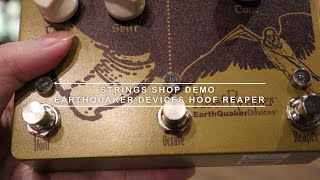EarthQuaker Devices Hoof Reaper V2 - What To Know & Where To Buy