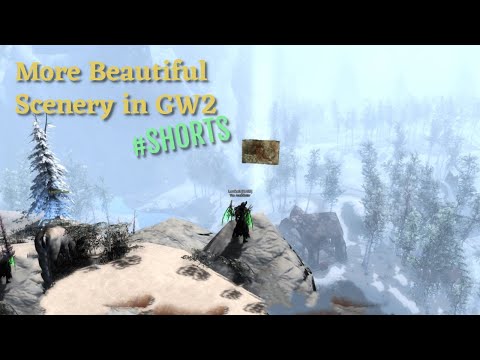 Guild Wars 2 More Beautiful Scenery in GW2 | #SHORTS