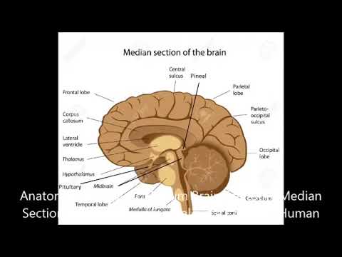 The Sacred Secret Of The Christ Within presented by Santos Bonacci