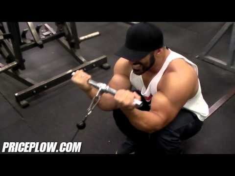 Biceps Preacher Curl Alternative w/ Cables by Amin Shahry