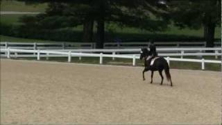 preview picture of video 'Kentucky Horse Park May Daze Horse Trial (2011)'