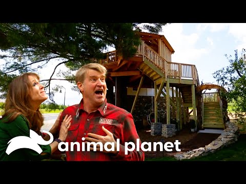 The Craziest Treehouses of SEASON 5! | Treehouse Masters | Animal Planet