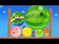 Mario Vs The Watermelon Game SUIKA Mario Escape Marble Race Fruit Evolution Maze