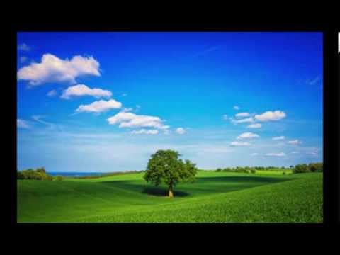 Bach - Aria Des Postillon Aus Dem Capriccio BWV 992