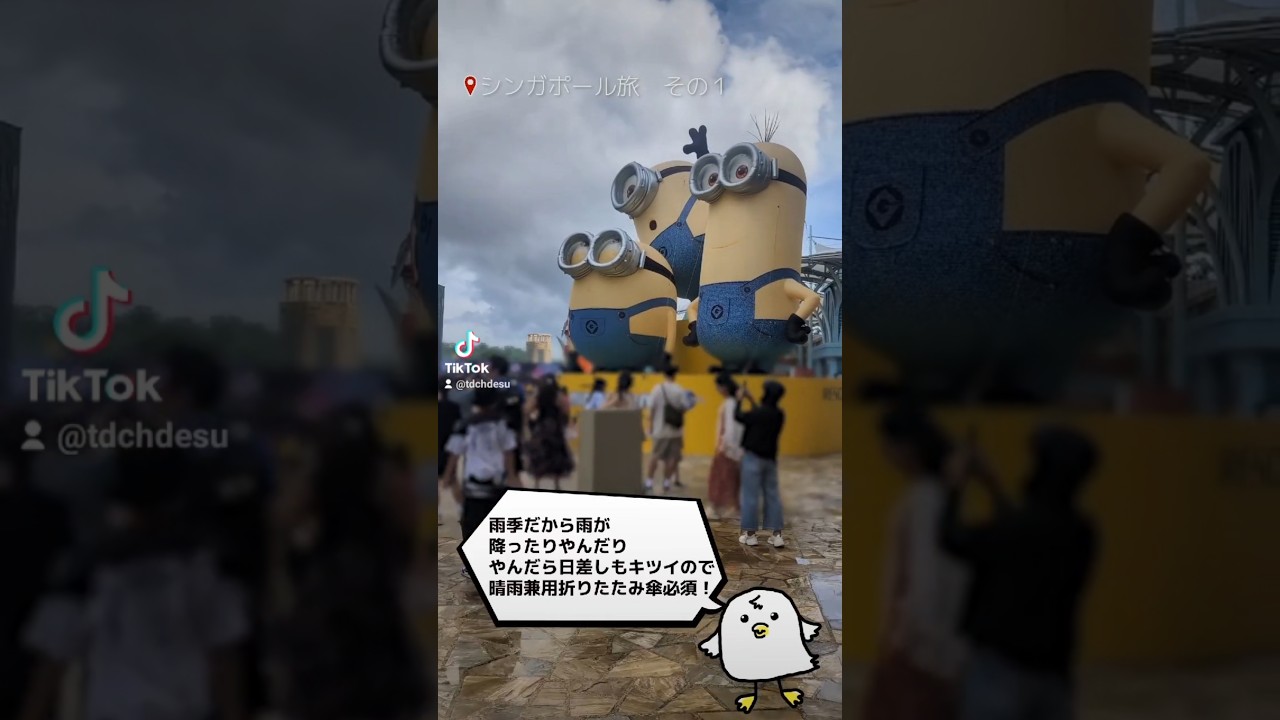 peachでシンガポールへ!!USSに行ったよ