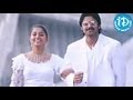 Manasundi Kaani Movie Songs Pena Vey Nannu Teegalaga Song Sriram Meera Jasmine Sameeksha