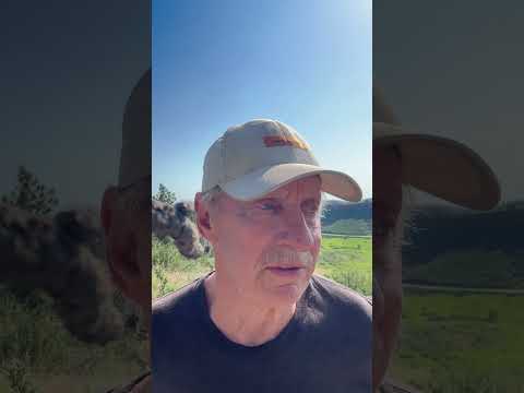 Die Wahrheit über RLS-Medikamente: Nebenwirkungen von Mirapex und Ropinirol #RLS