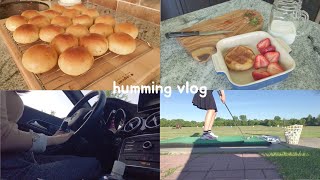 🇨🇦med student summer vlog_.baking bread, cooking, singing, studying, summer research, golf, milk tea
