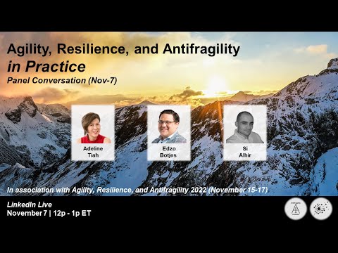 Agility, Resilience, and Antifragility in Practice - Panel (Nov 7) — Adeline Tiah