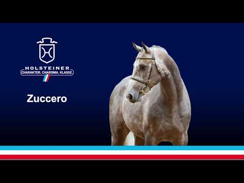 Die Verbandshengste 2020 - Zuccero v. Zirocco Blue-Caretino