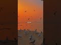 Sahiba ️ Whatsapp Status Aesthetic Edit Lyrics Song Status Lyries Love Song