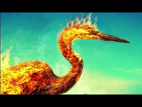 Most powerful tier 3 character of future fight.