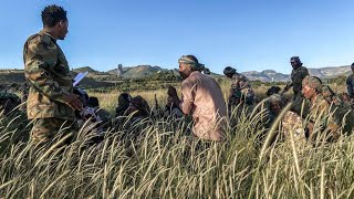 Conflicto contra el Gobierno de Etiopía pasa a Eritrea