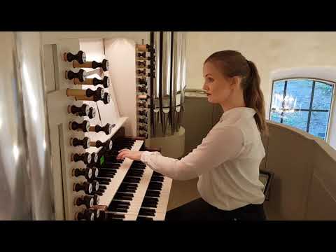 Chrono Trigger - The Kingdom Trial - Pipe organ