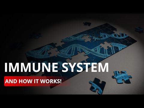A Voyage Within: Unraveling the Mysteries of Your Immune System