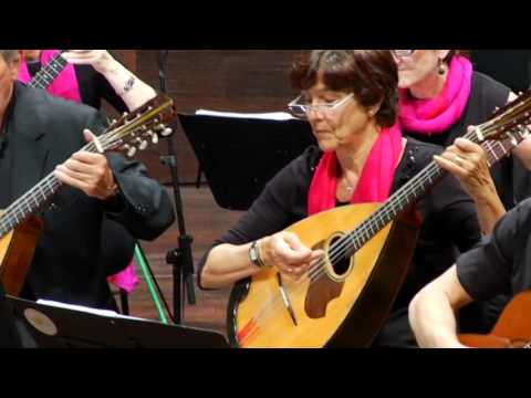 Orchestra mandolinistica di Lugano - Alessandro Marcello, Concerto per oboe e orchestra