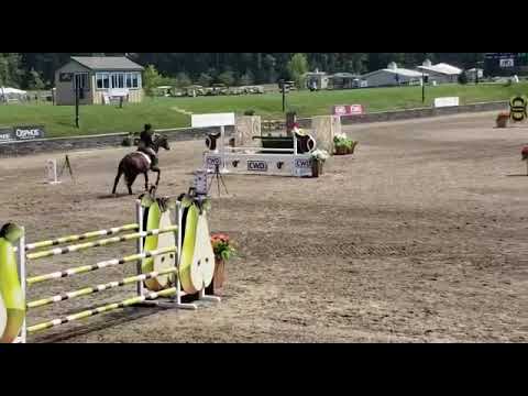 HITS High Adult Jumpers 2019