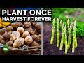 Grow These 7 Perennial Crops For Endless Harvests