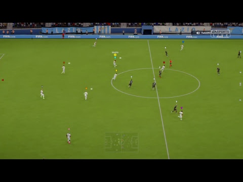 VFC Zenit - Russian Eagles