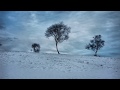 Mark Knopfler "Sands of Nevada"