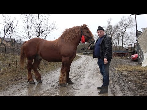 Calatorie prin Muntii Apuseni impreuna cu Dorel Partea I - 2020 Nou!!!