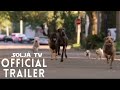 New Movies 2020 Week 19 OfficialTrailer Netflix NewMovies2020 NewMovie2020 Movies Tv Tvshows