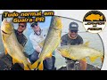 Pescaria de Dourados Gigantes com Guia João Medeiros em Guaíra. SÓ VALE ISCA ARTIFICIAL!!!
