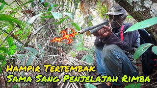Download lagu Ketemu Sang Pemburu... Saat Explorer Hutan Rimba mp3 Download lagu Ketemu Sang Pemburu... Saat Explorer Hutan Rimba mp3