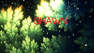 Download lagu Shawn Mendes- Treat you Better(DJ VS Remix) mp3 Download lagu Shawn Mendes- Treat you Better(DJ VS Remix) mp3