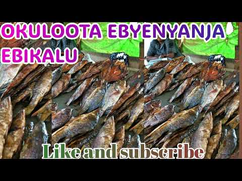 𝗢𝗸𝘂𝗹𝗼𝗼𝘁𝗮 𝗲𝗯𝘆𝗲𝗻𝘆𝗮𝗻𝗷𝗮 𝗲𝗯𝗶𝗸𝗮𝗹𝘂