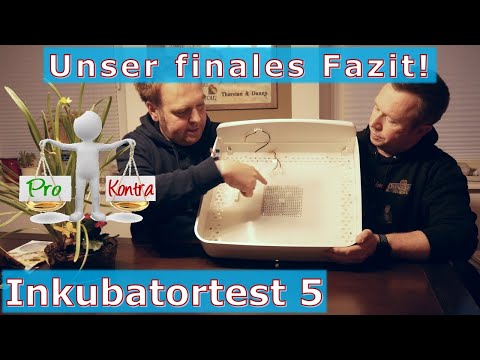 Inkubator im Test V - Fazit: 👍🏻👎🏻 go or no-go 🤷🏼‍♂️