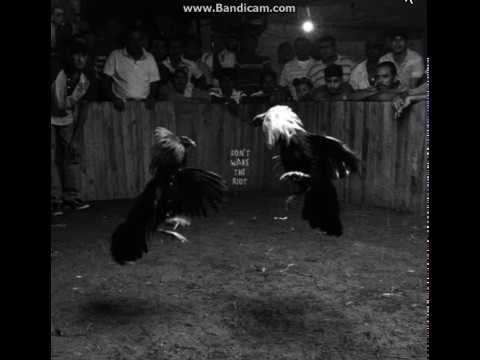 Video thumbnail for Hard Luck