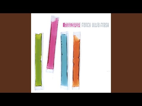 I Am Not Your Gameboy - Freezepop