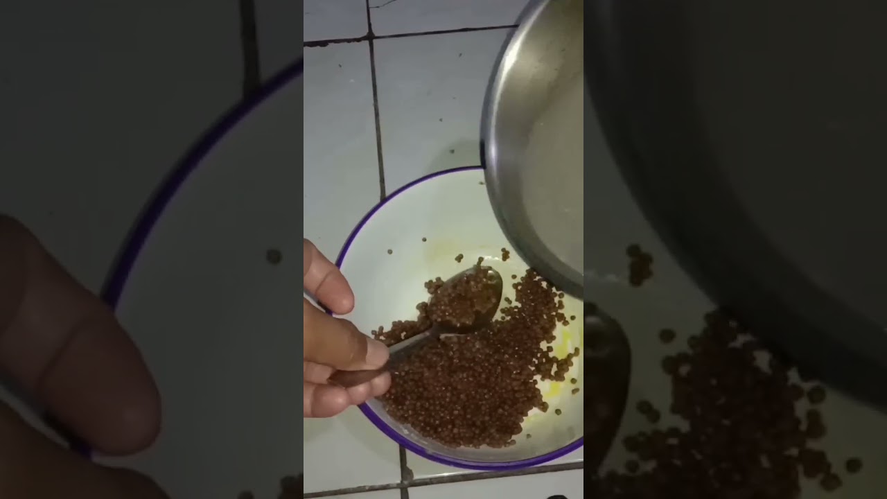 Umpan Jitu Mancing Ikan Patin Di Jamin Pasti Strike