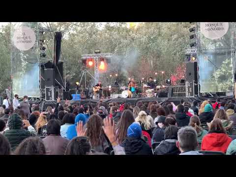 STAY HOMAS “Stay homa” El Bosque Sonoro Mozota - Zaragoza 27/9/2020