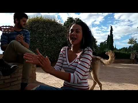 Blanca la Almendrita - Cover: Rosa de mi Pañuelo (Migue Benítez)