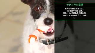 本日の投資注目TOP10【8/29 21:00】