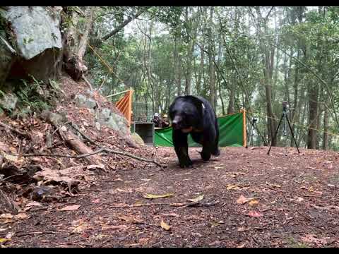 台湾固有種動物 in 台語 (Taiwan Endemic Animals in Tâi-gí)