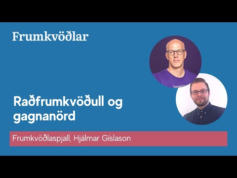 Frumkvöðlaspjall: Hjálmar hjá GRID