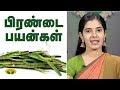 பிரண்டையின் பயன்கள் Veld Grape Nutrition Diary Adupangarai Jaya 