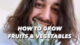 How to Grow Plants from Store-Bought Fruits & Vegetables | creative explained