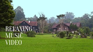 Download lagu Drone View Kebun Raya Cibodas | Relaxing Destination mp3