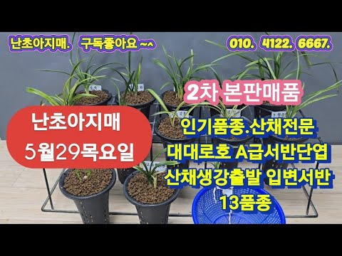 유튜브 썸네일