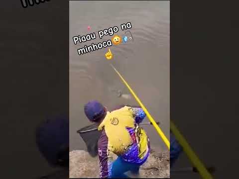 #Porto #amazonas #Piau 😉 #brutododia