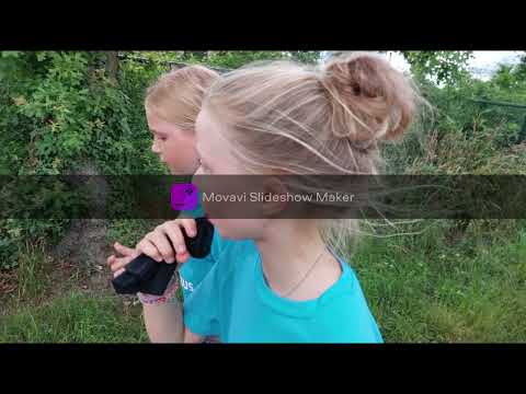 Avondvierdaagse 2022 Omnibus Baarlo