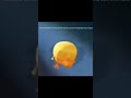 The 4 Year Old That Running Uttp Theamazingdigitalcircus Sonicthehedgehog Memes Uttp