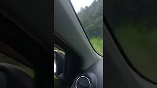 Download lagu Story' wa di dalam mobil perjalanan jauh lewat perkebunan #short #shortsvideo #shortvideo #shorts mp3