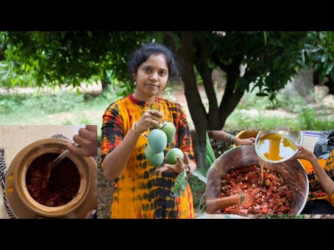 మా తోటలో  పెట్టిన ఆవకాయ॥అమ్మ చెప్పిన కొలతలతో॥simple living at farm ||madhuvanam