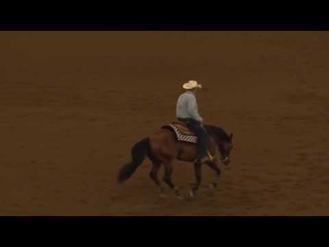 170714 Terry Satchell on Gotta Get Er Done Rookie