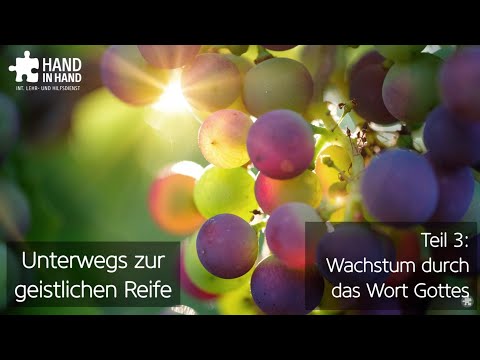 Videovorschau